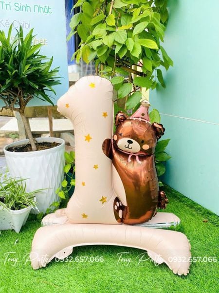  Bóng Hình Số 1 Gấu Nâu 
