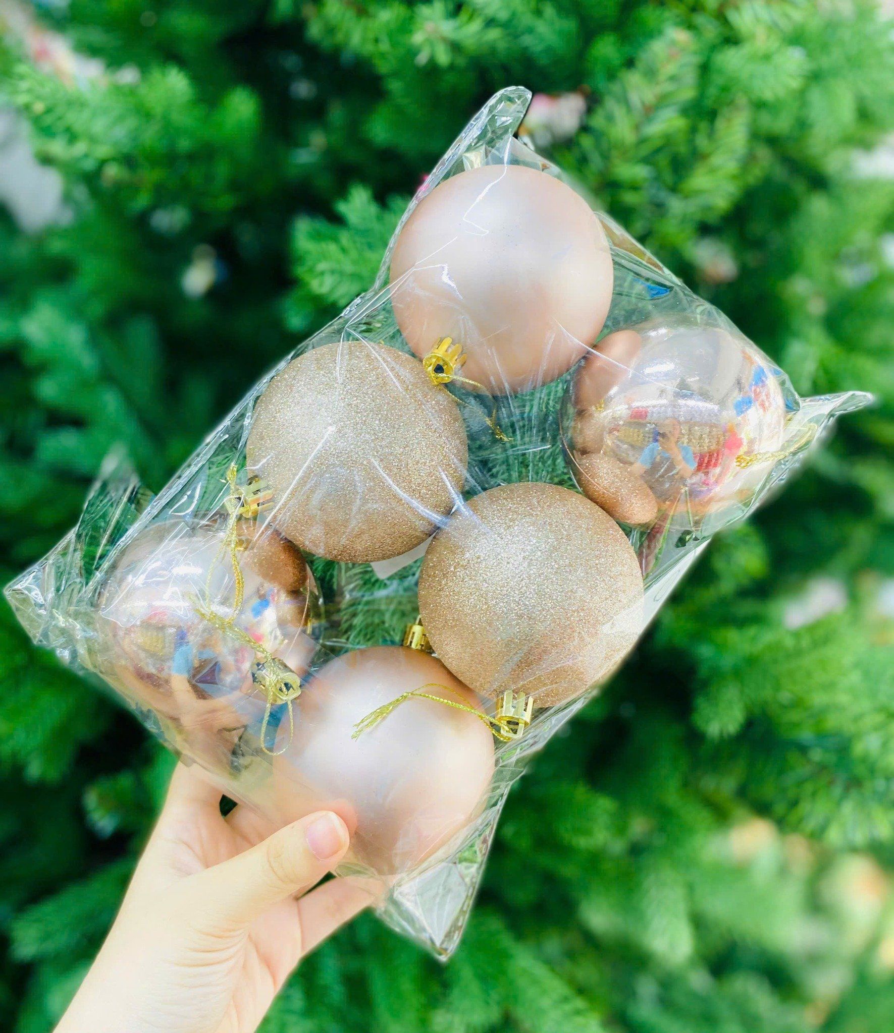  Set Châu Mix 8cm - 6 trái 