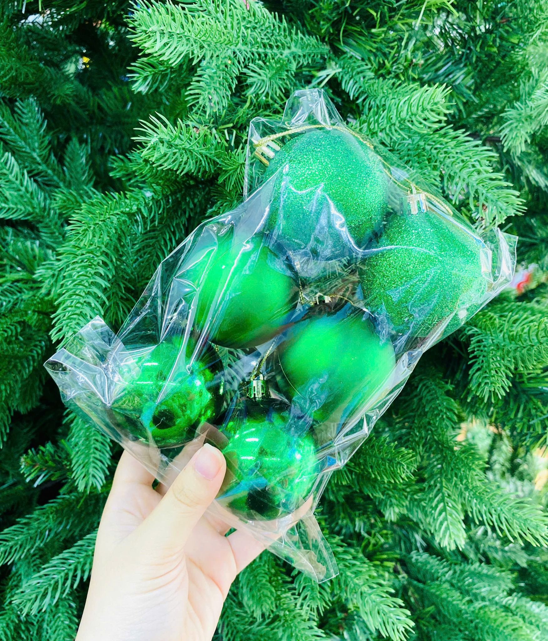  Set Châu Mix 6cm - 6 trái 