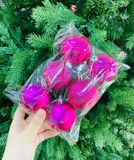  Set Châu Mix 6cm - 6 trái 