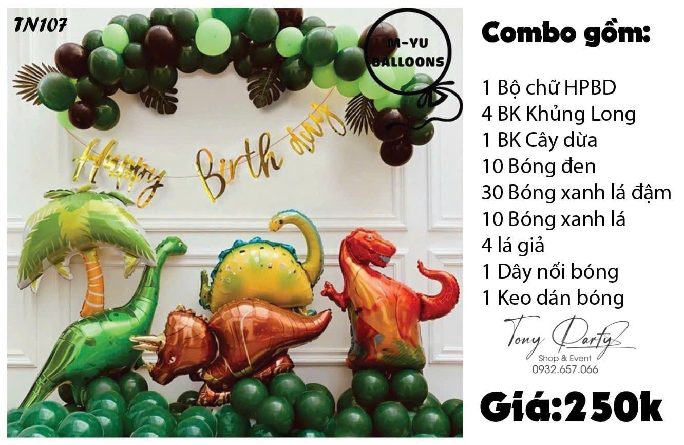  Combo Trang Trí Sinh Nhật TN 107 