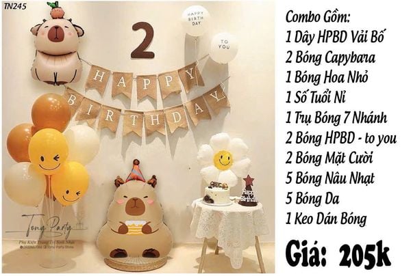  Combo Trang Trí Sinh Nhật Capybara TN 245 