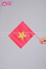  DKK0420 Cờ Sao Vàng Vẫy Cầm Tay 