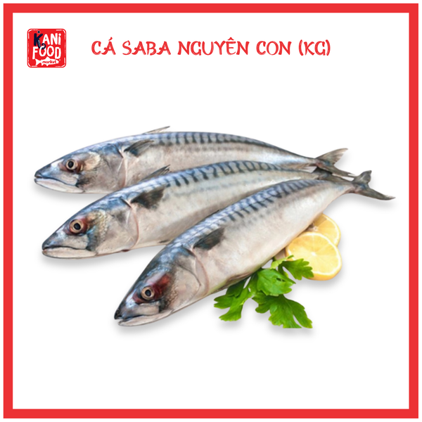 CÁ SABA NGUYÊN CON (KG)