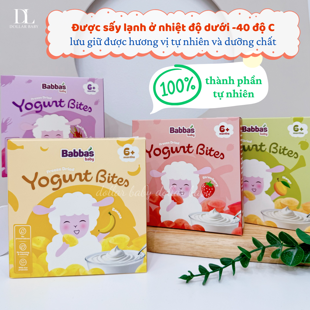  Sữa Chua Sấy Lạnh Babba's ( 6m+ ) 