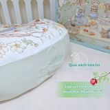  Gối Chống Trào Bubble Tree ( 56 x 60 ) 