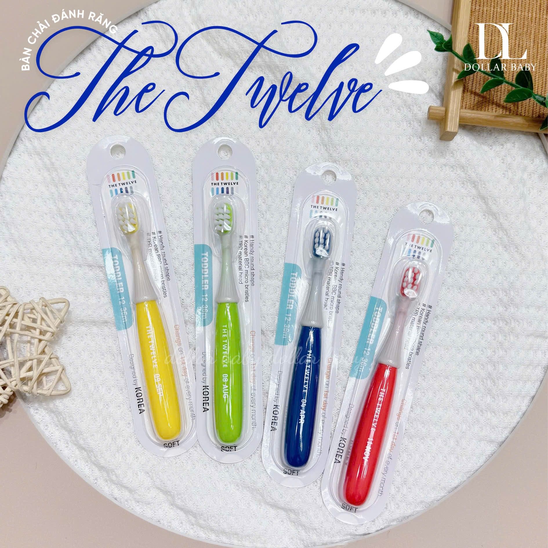  Bàn chải The Twelve 12-36m 