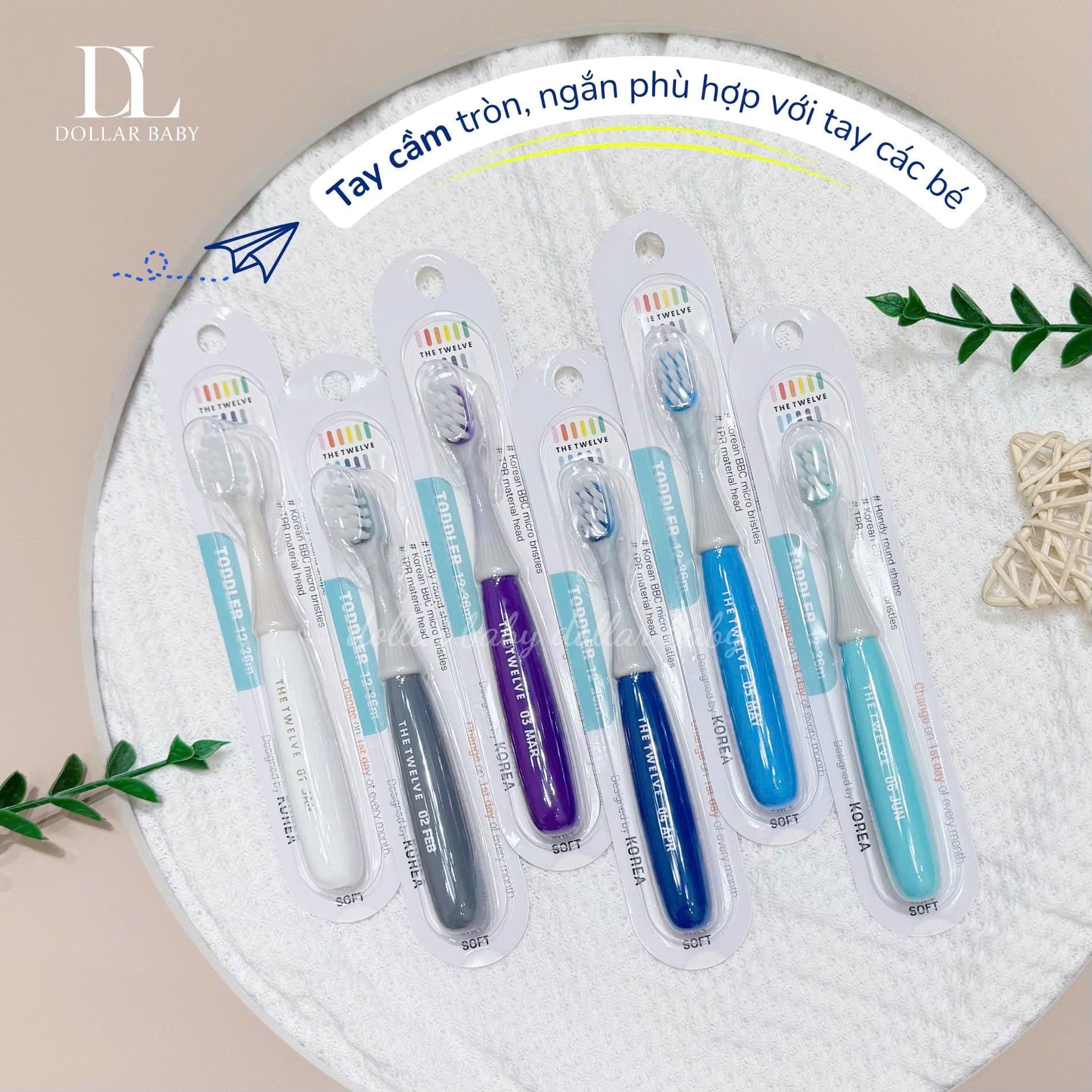  Bàn chải The Twelve 12-36m 