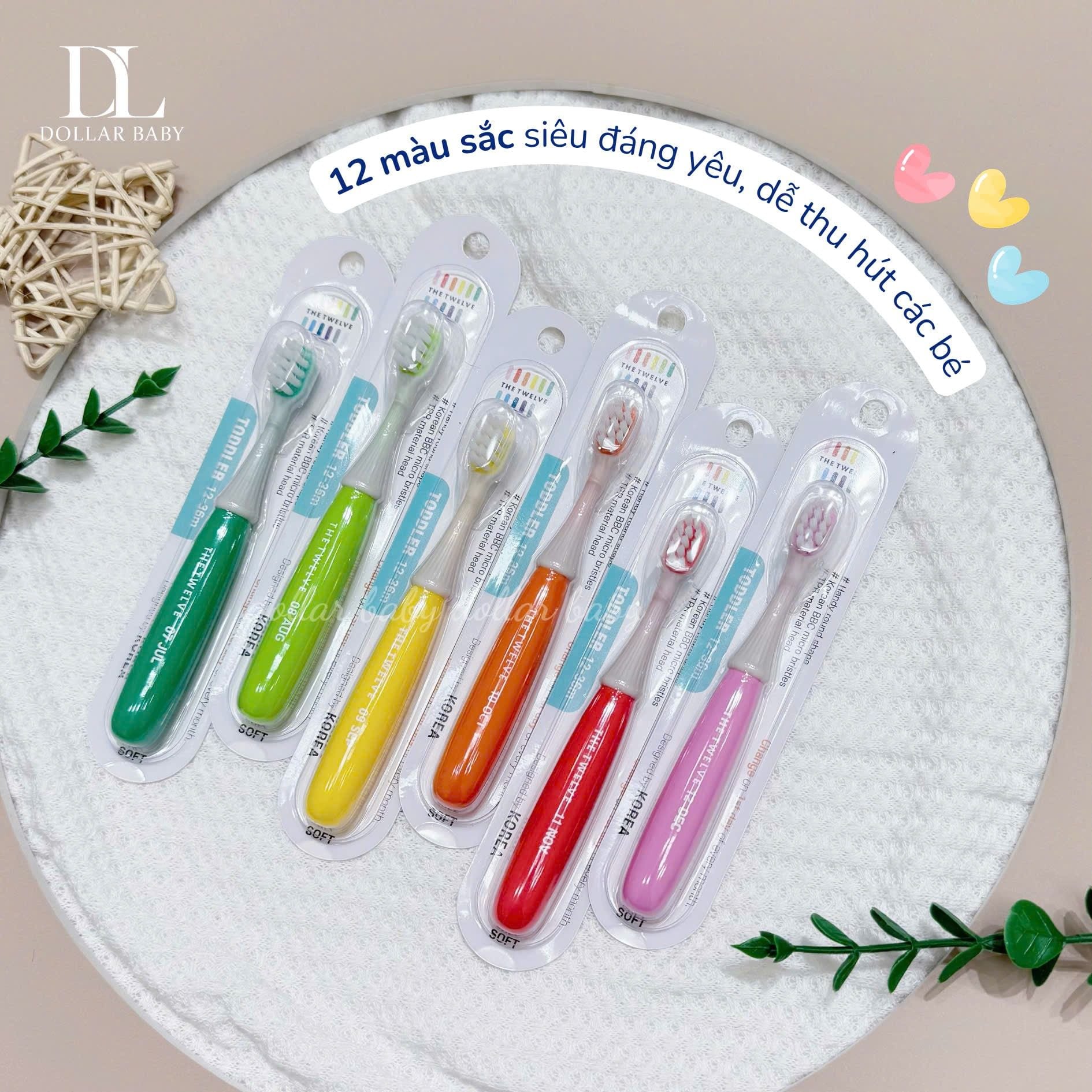  Bàn chải The Twelve 12-36m 