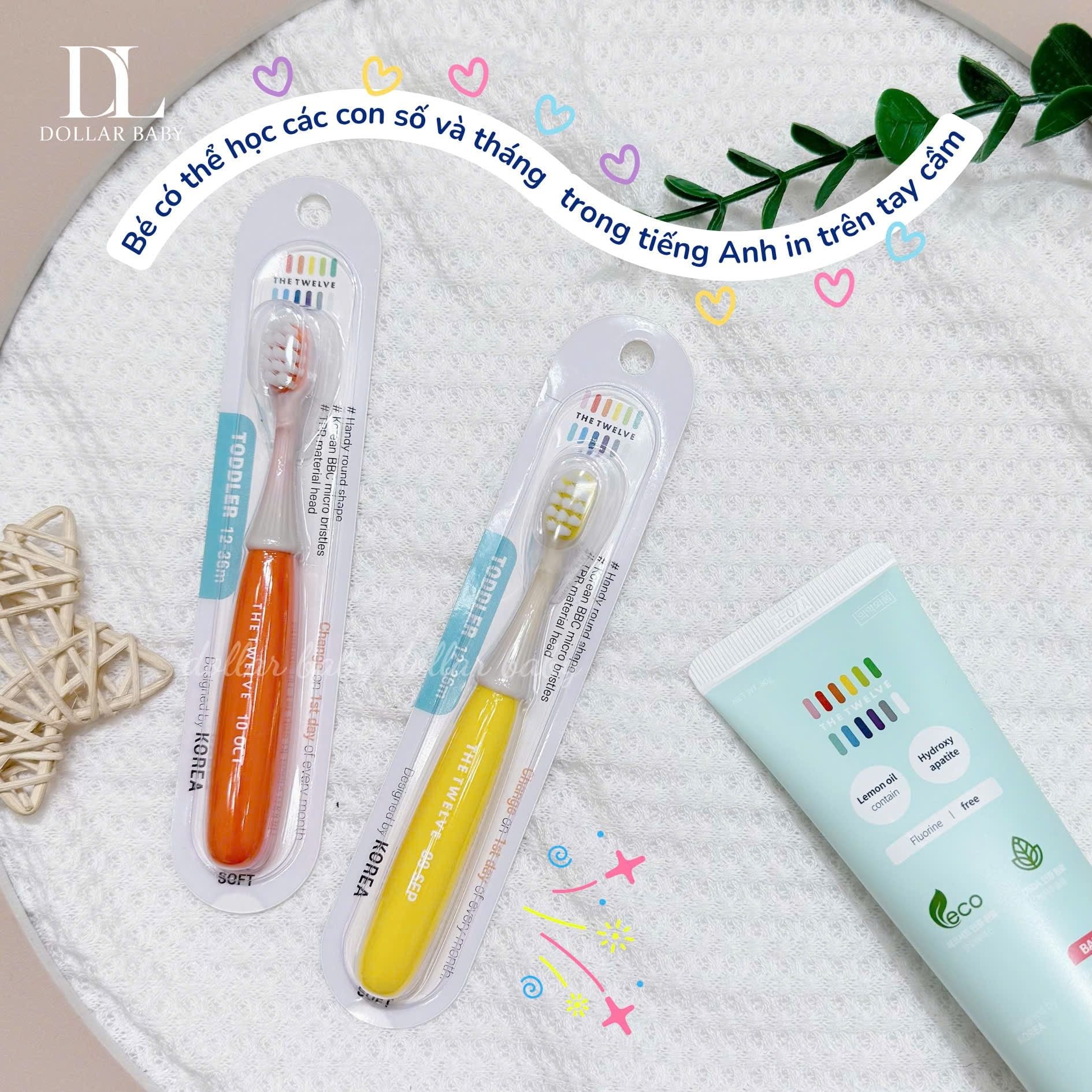  Bàn chải The Twelve 12-36m 