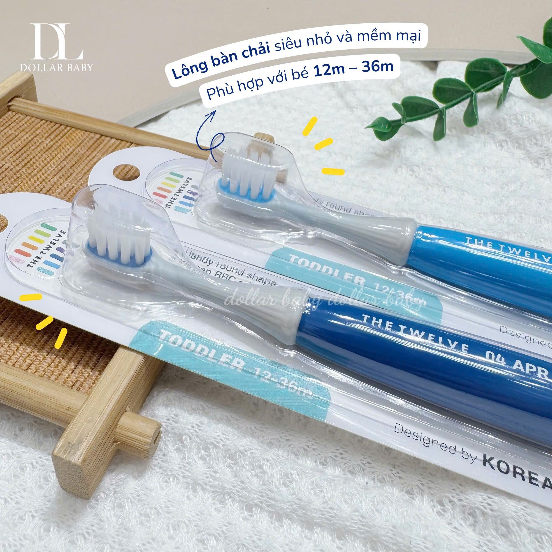  Bàn chải The Twelve 12-36m 