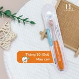  Bàn chải The Twelve 12-36m 