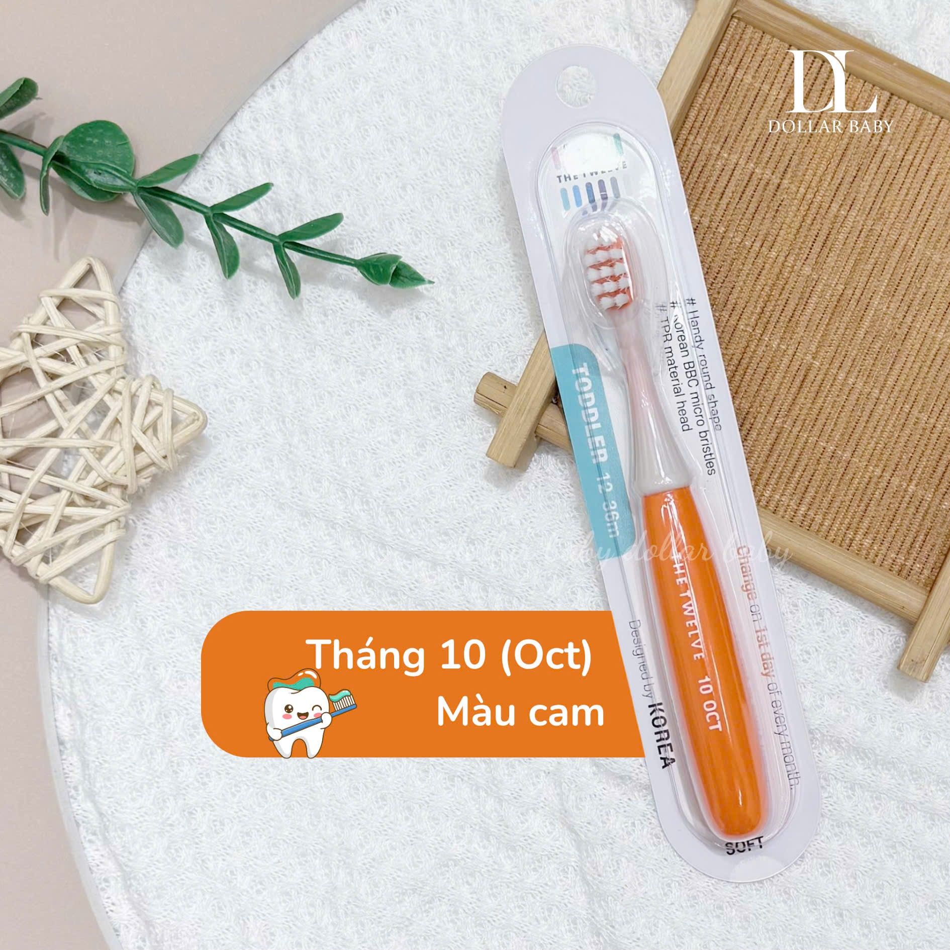  Bàn chải The Twelve 12-36m 