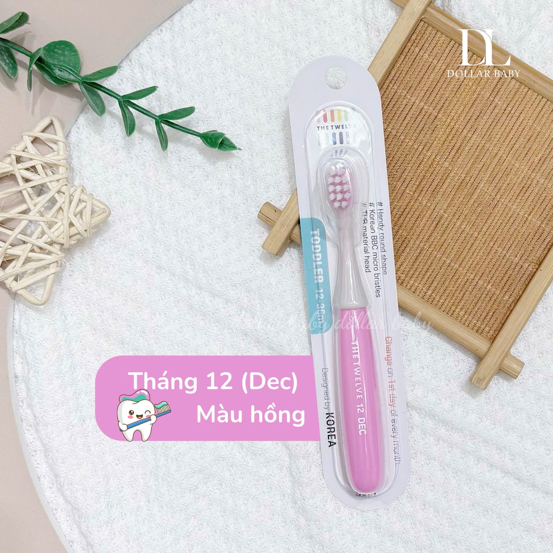  Bàn chải The Twelve 12-36m 