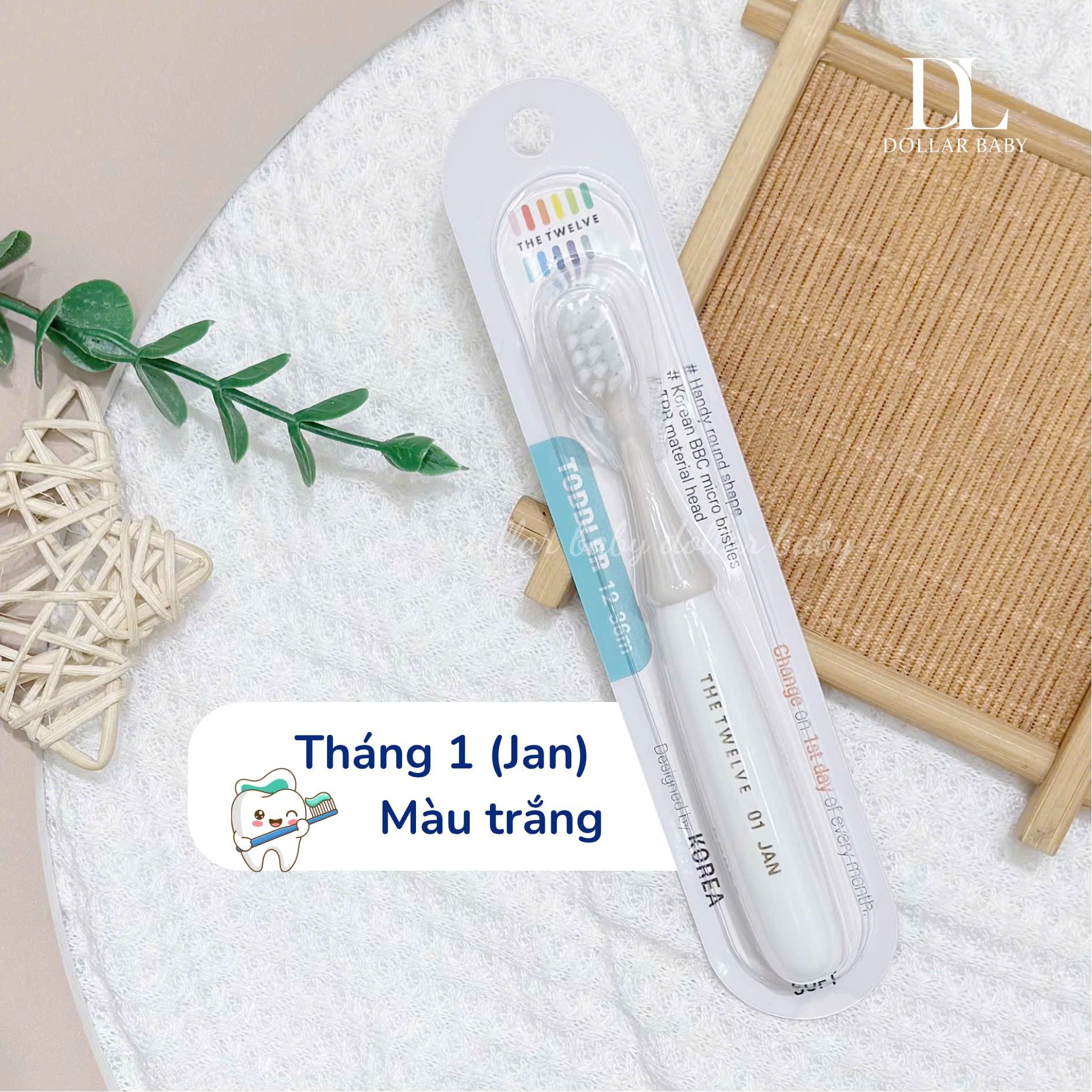  Bàn chải The Twelve 12-36m 