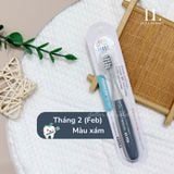  Bàn chải The Twelve 12-36m 