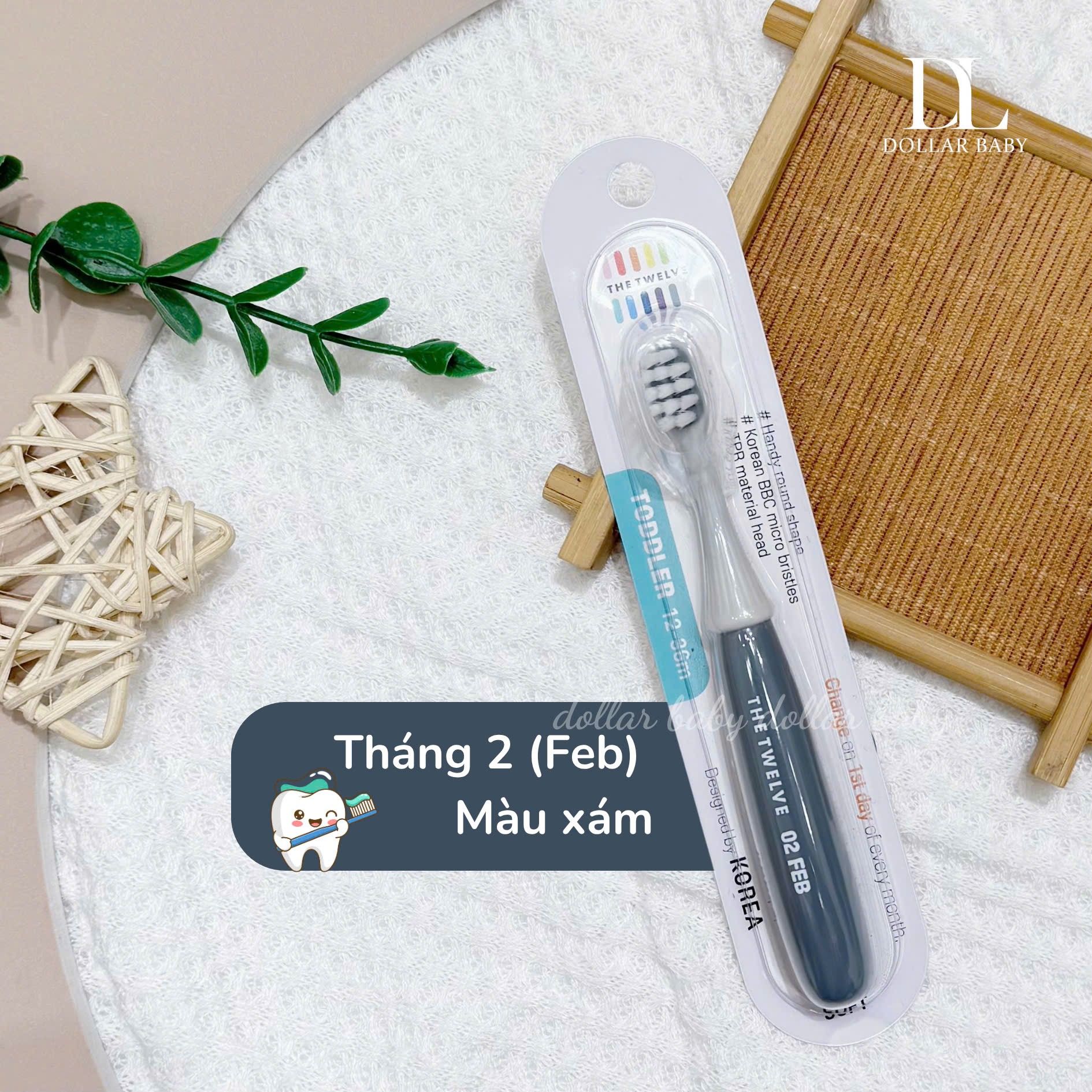  Bàn chải The Twelve 12-36m 