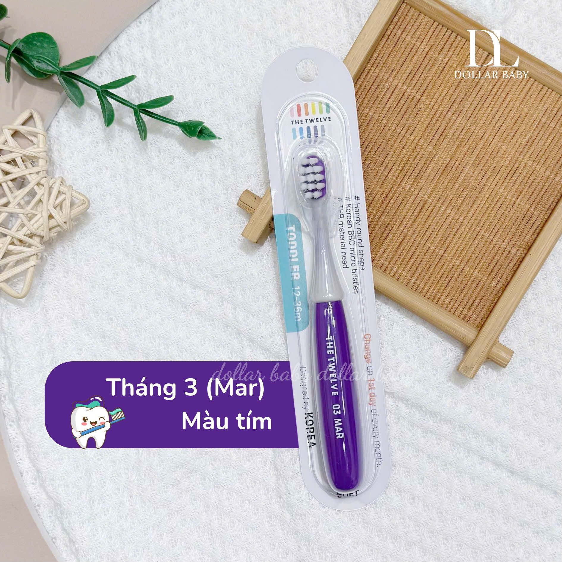  Bàn chải The Twelve 12-36m 