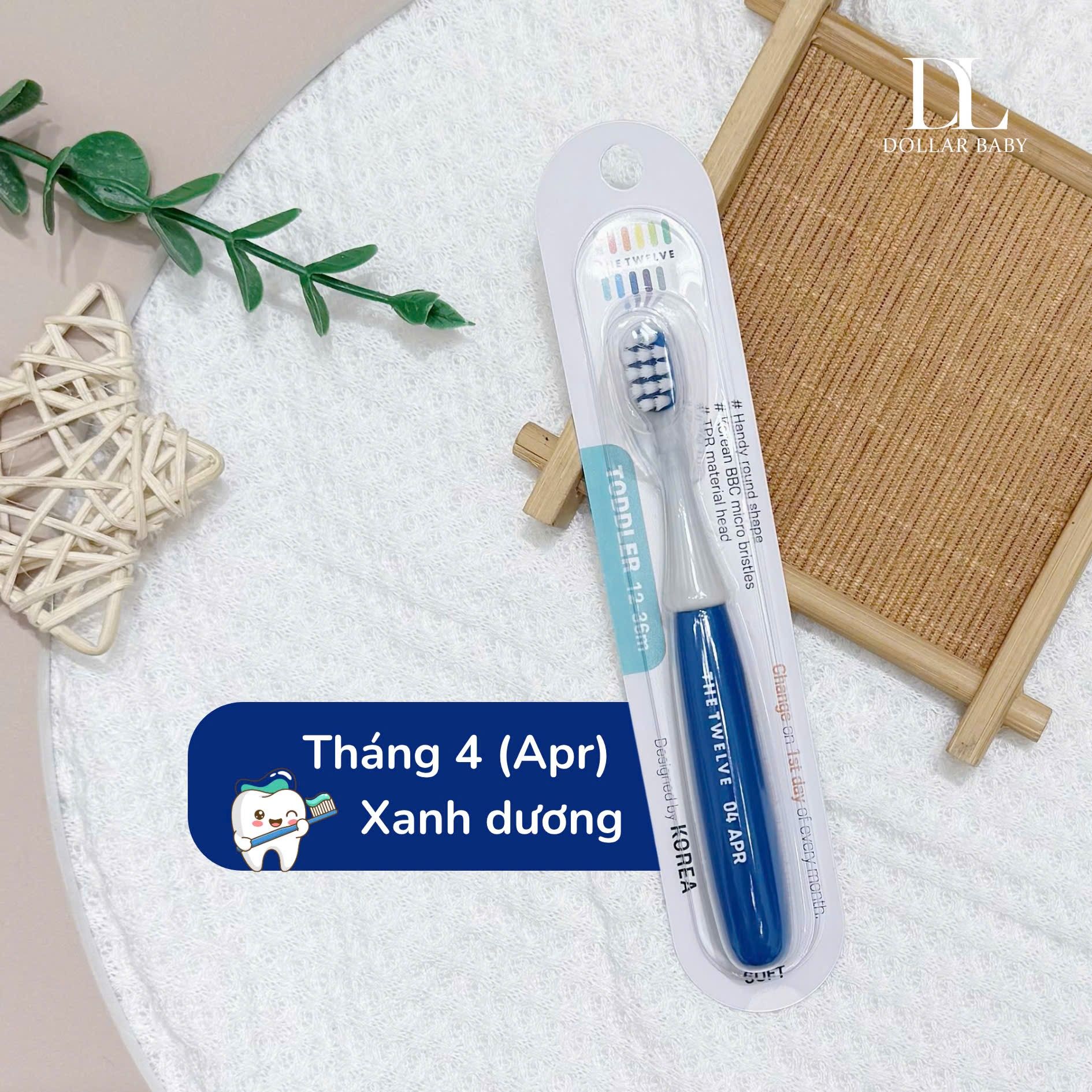  Bàn chải The Twelve 12-36m 