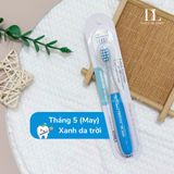  Bàn chải The Twelve 12-36m 