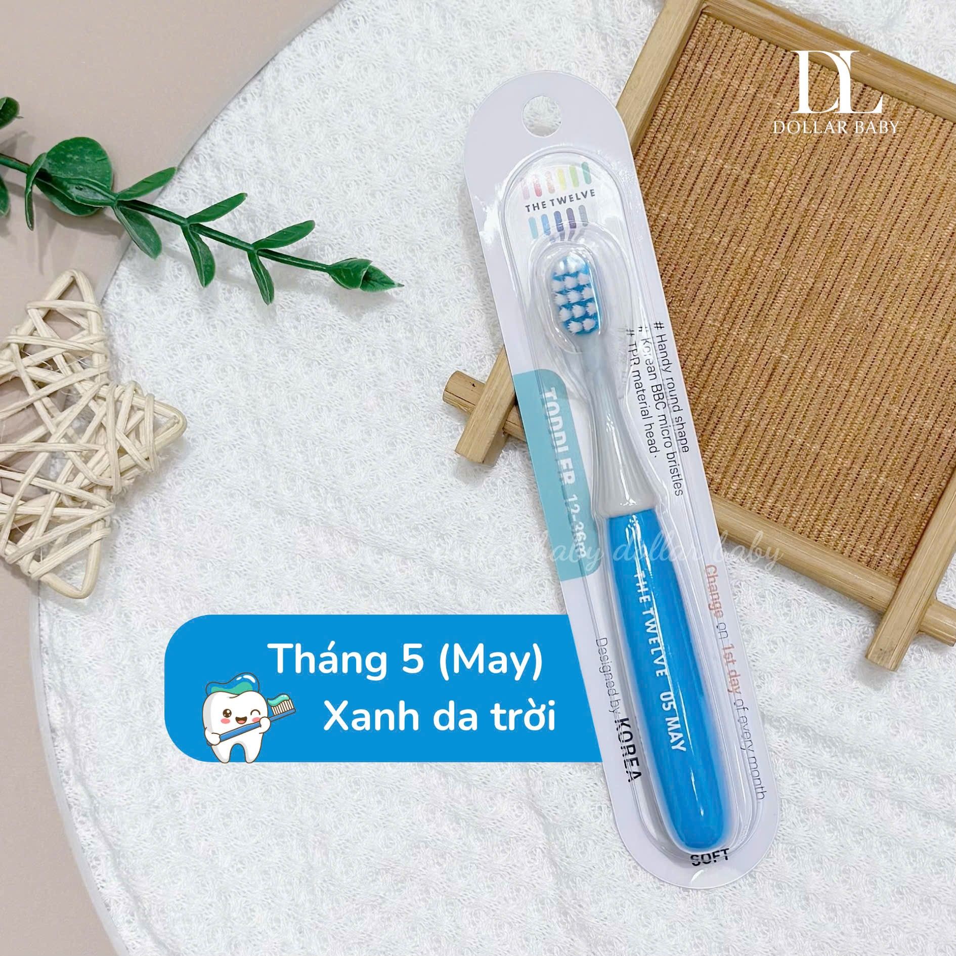  Bàn chải The Twelve 12-36m 