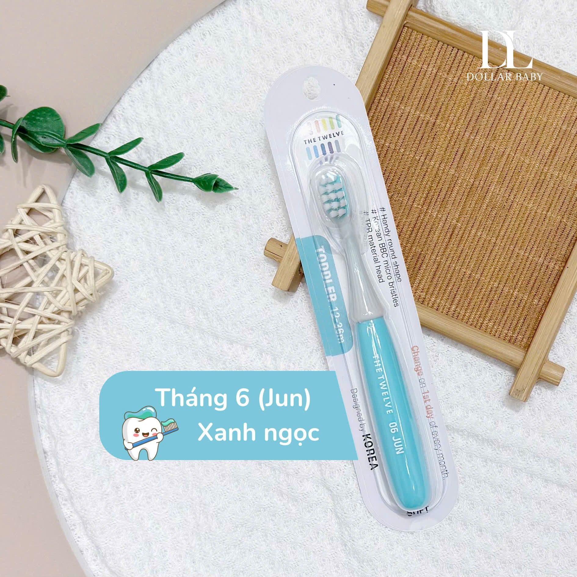  Bàn chải The Twelve 12-36m 