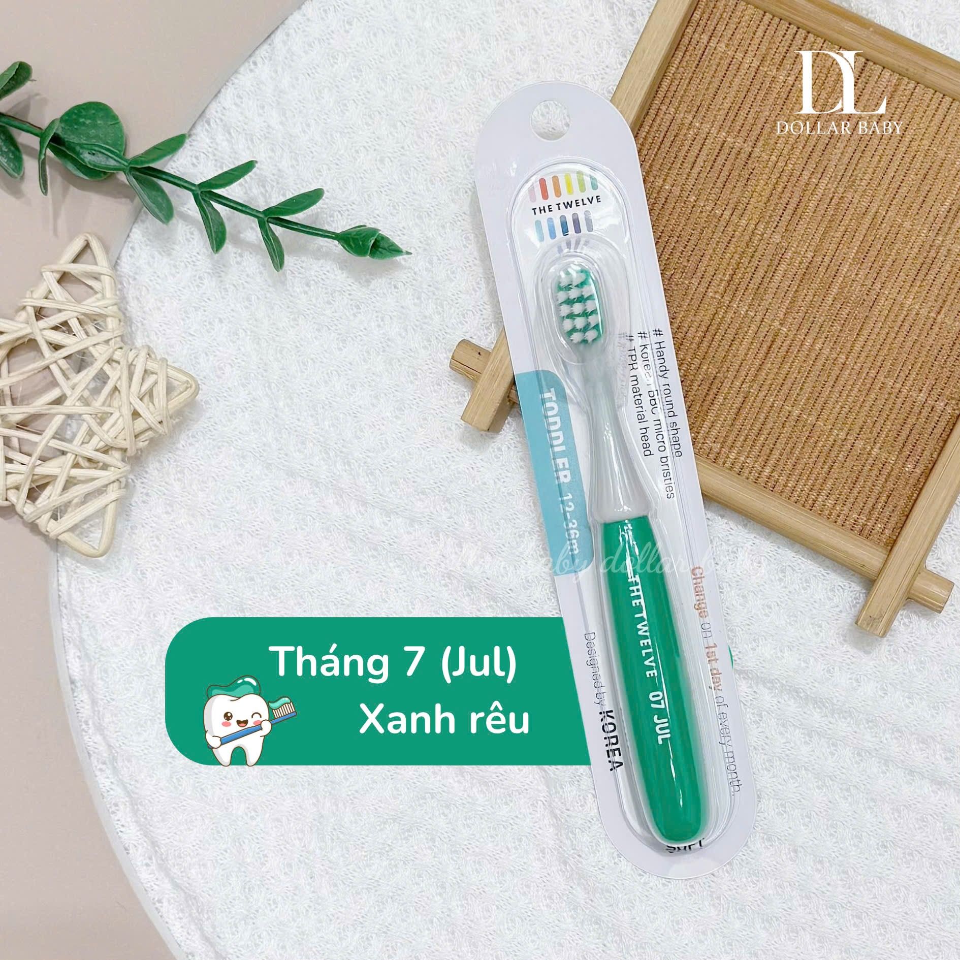  Bàn chải The Twelve 12-36m 