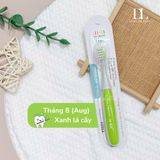  Bàn chải The Twelve 12-36m 