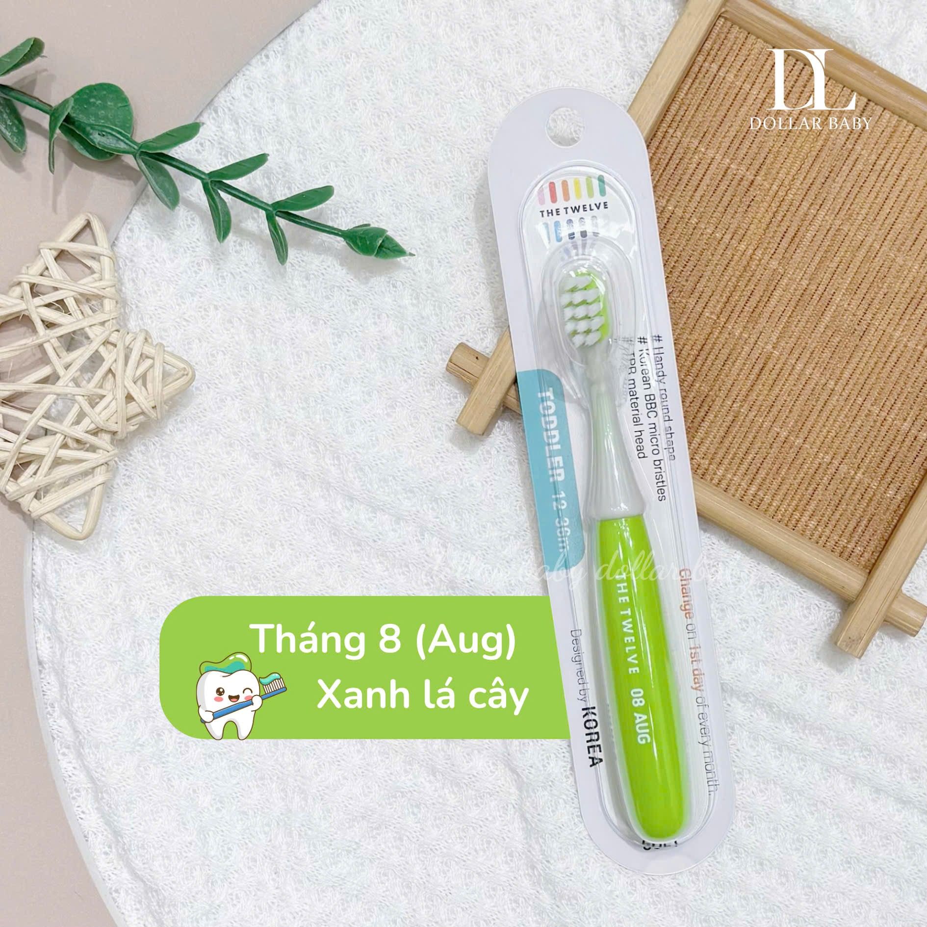  Bàn chải The Twelve 12-36m 