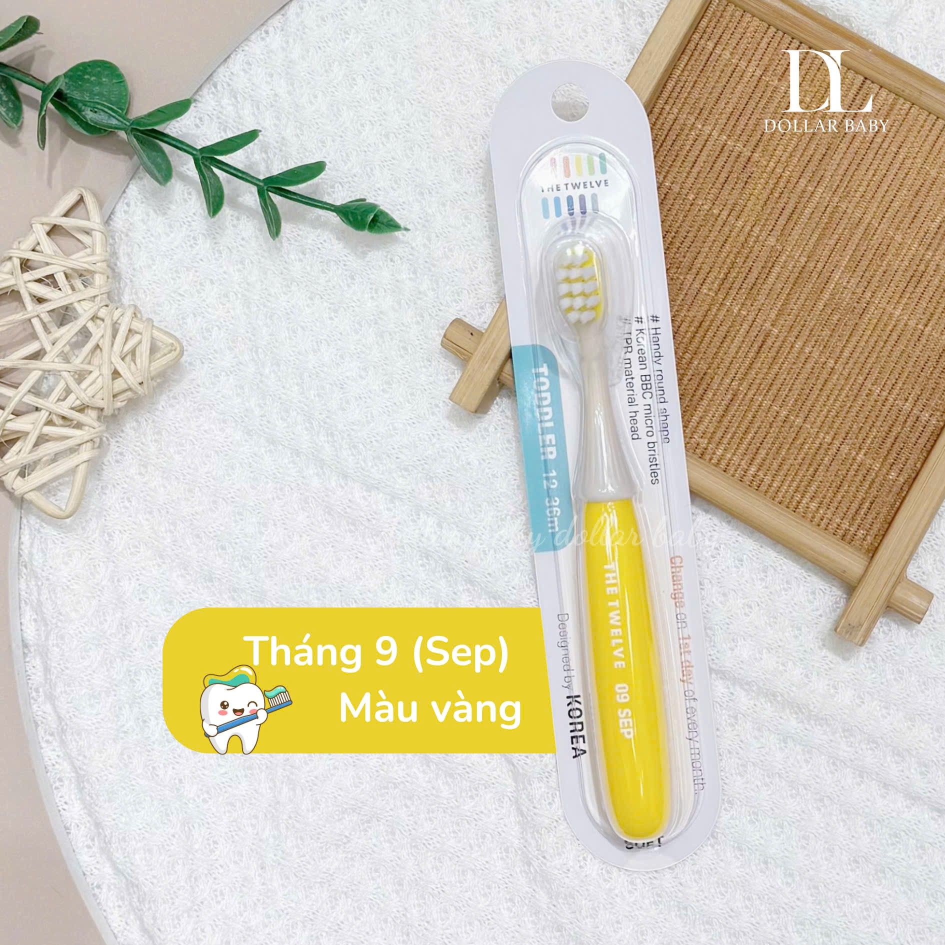  Bàn chải The Twelve 12-36m 