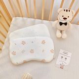  Gối cao Su Chữ Nhật Lõm Đầu SS Monona - MNN044 