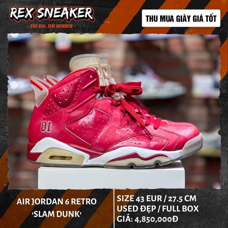 Nike Air Jordan 6 Retro Slam Dunk – Rex Sneaker