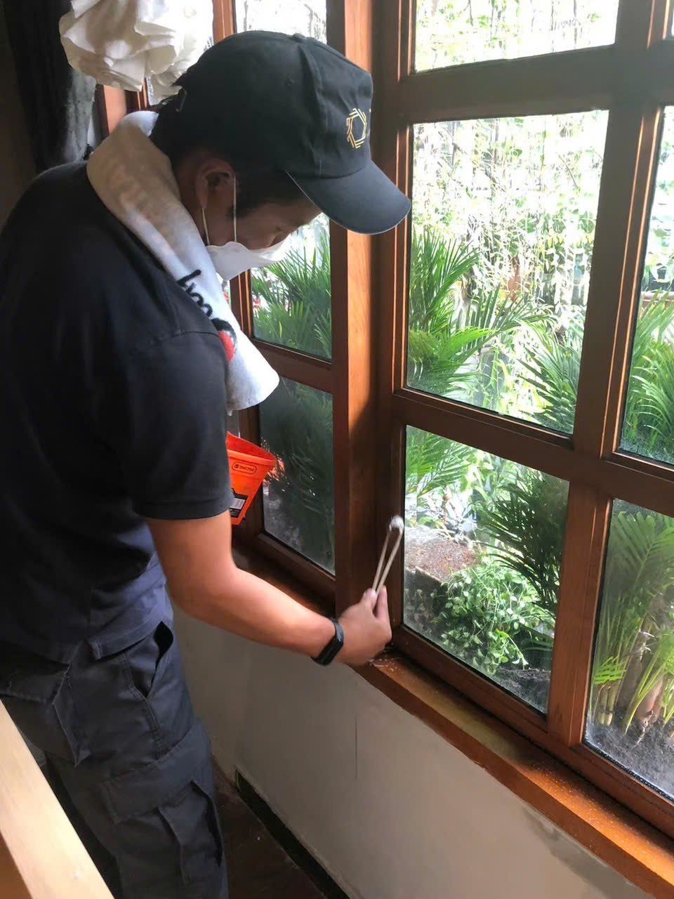 Lớp phun chống nấm mốc