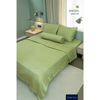 Matcha Green