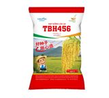  GIỐNG LÚA LAI TBH456 
