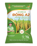  GIỐNG LÚA THUẦN ĐÔNG A2 