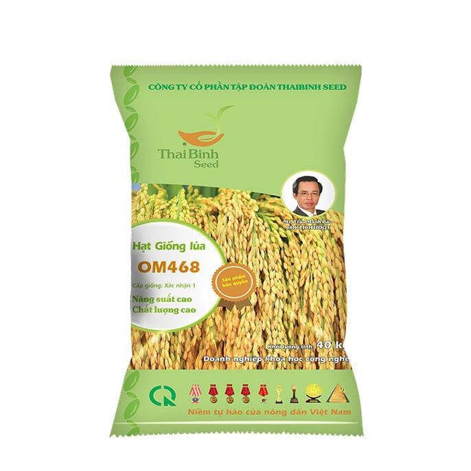  GIỐNG LÚA THUẦN OM468 