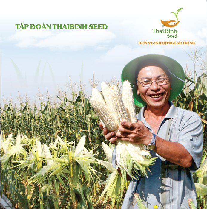  NGÔ NẾP LAI TBM18 