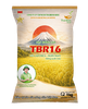  GIỐNG LÚA TBR16 