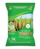  GIỐNG LÚA THUẦN TBR19 