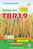  GIỐNG LÚA THUẦN TBR19 