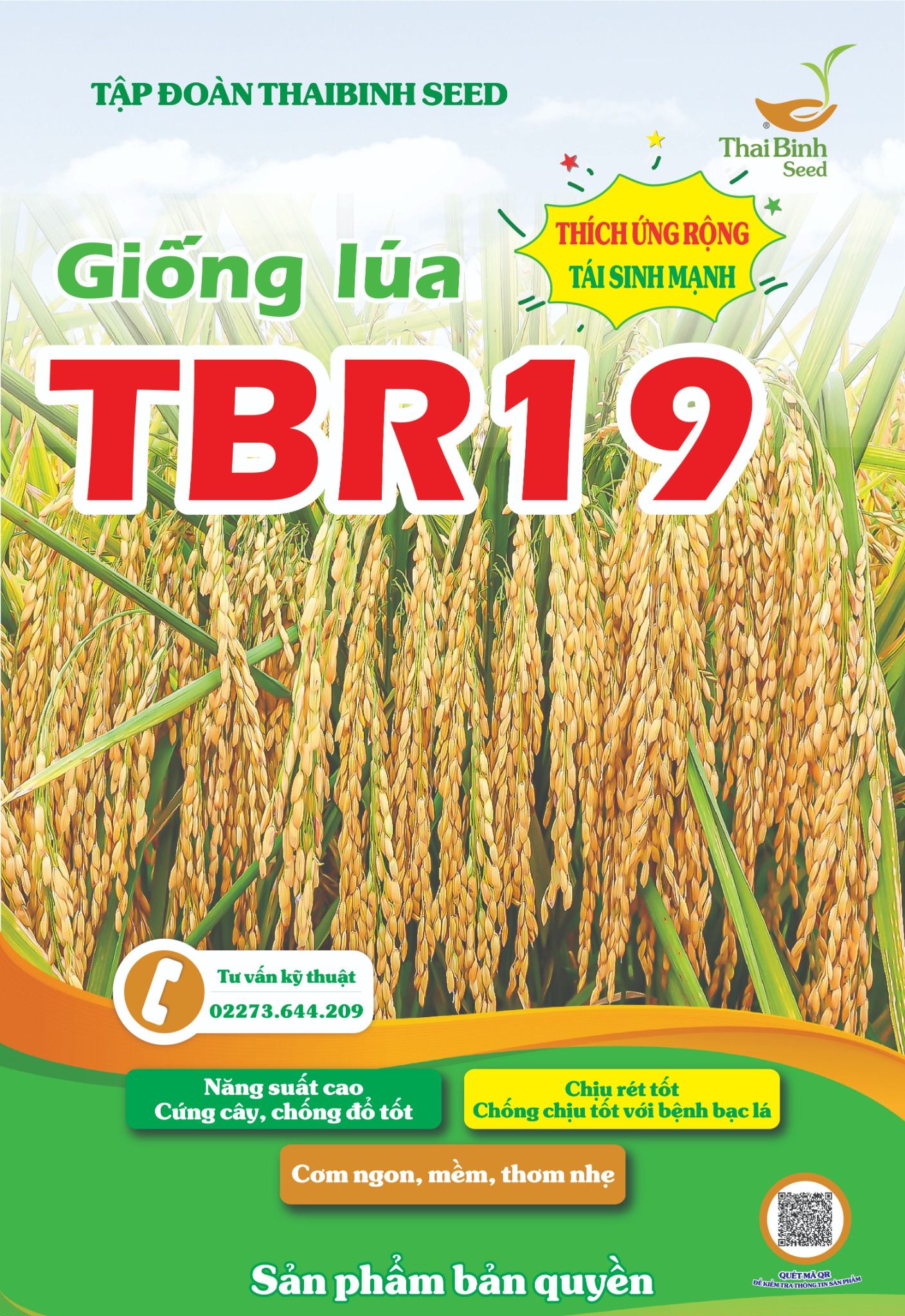  GIỐNG LÚA THUẦN TBR19 