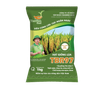  GIỐNG LÚA THUẦN TBR97 