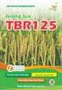  GIỐNG LÚA THUẦN TBR125 