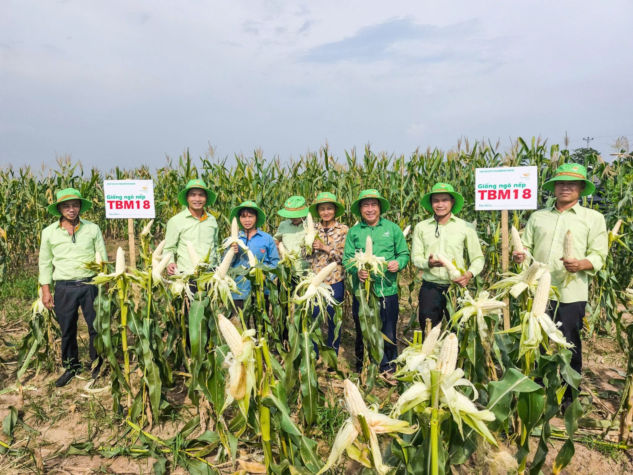  NGÔ NẾP LAI TBM18 