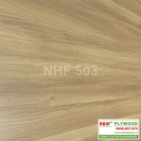  NHF 503 
