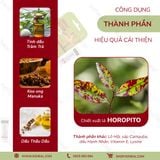  Kem trị chàm môi, herpes môi Kolorex Kolsore Lip Care Ointment 5g 