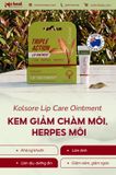  Kem trị chàm môi, herpes môi Kolorex Kolsore Lip Care Ointment 5g 