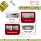  Kem trị chàm môi, herpes môi Kolorex Kolsore Lip Care Ointment 5g 