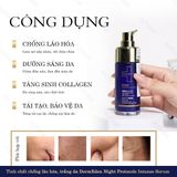  Tinh chất chống lão hóa, trắng da DermEden Night Protocole Intense Serum (30ml) 